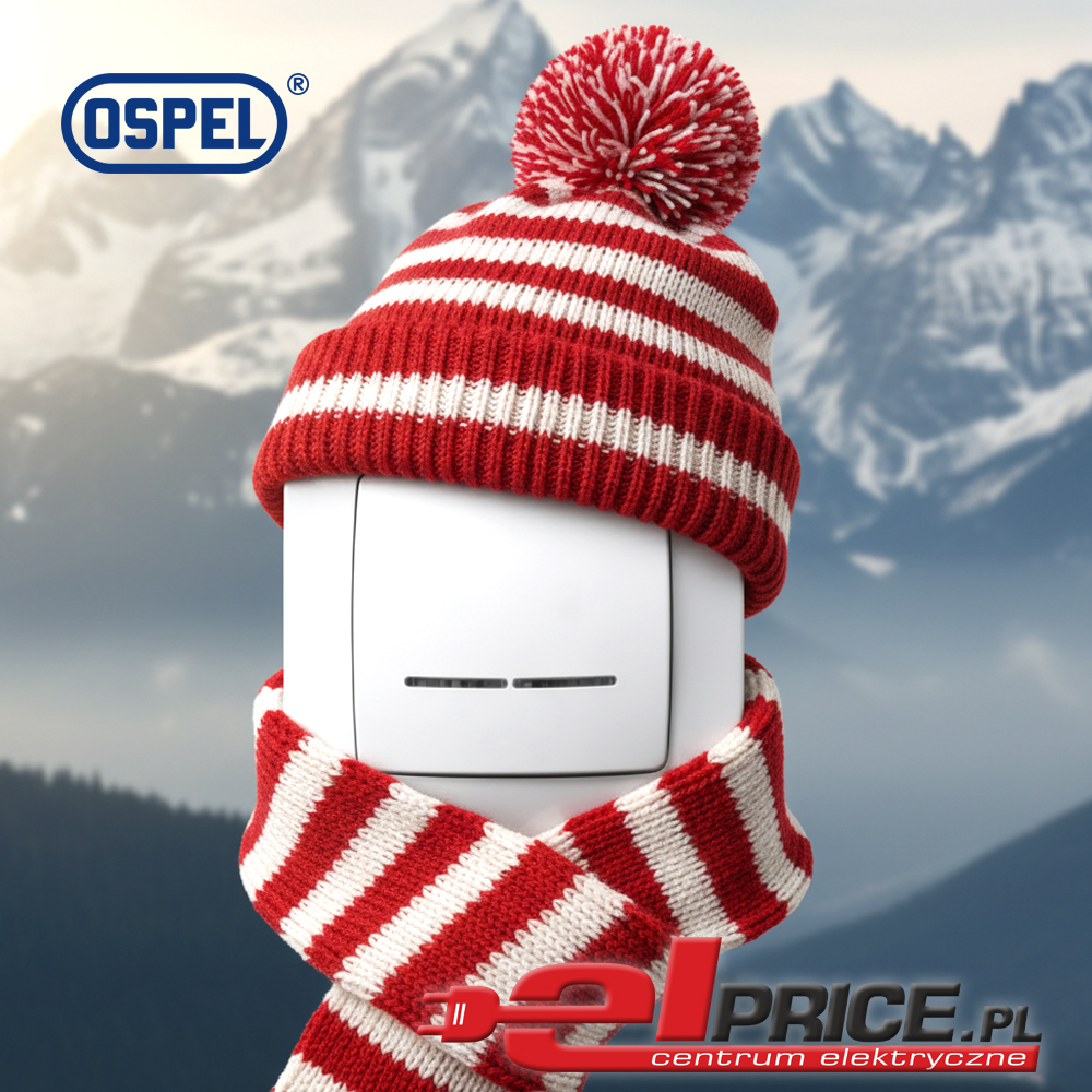 Czy-Ospel-to-polska-firma02