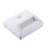 IRS3xAAA LED PIR W-NW