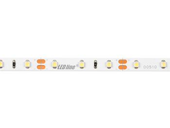 LED line® Taśma 300 SMD 12V 6500K 4,8W, cena za 1 mb