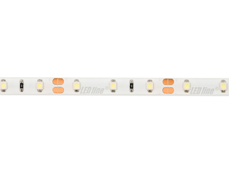 LED line® Taśma 300 SMD 12V 6500K 4,8W IP65