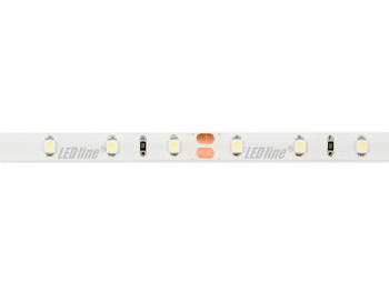 LED line® Taśma 300 SMD 24V 6500K 4,8W IP65