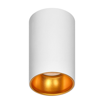 ELIZA, oprawa typu downlight, GU10, IP20, aluminiowa, biało-złota