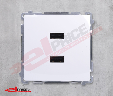 Kontakt simon basic ładowarka usbx2 bmc2usb.01/11