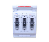 Apator Rozłącznik bezpiecznikowy RBK 2 pro VD-M 63-811685-204