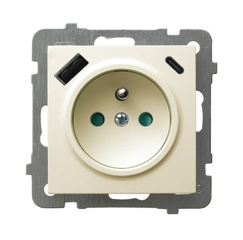 OSPEL AS GP-1GZPUSBAC/m/27 Gniazdo z/u uziemieniem, przesłony, ładowarka USB