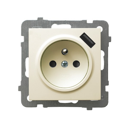 Ospel as GP-1GZPUSB/m/27 Gniazdo pojedyncze z uziemieniem z przesłonami torów prądowych, z ładowarką USB