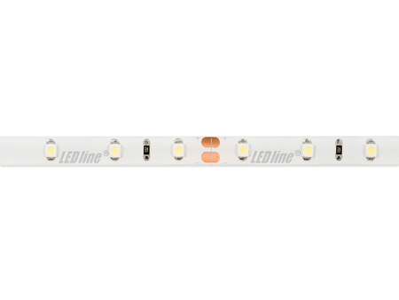 LED line® Taśma 300 SMD 24V 6500K 4,8W IP65