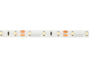 LED line® Taśma 300 SMD 12V 6500K 4,8W IP65