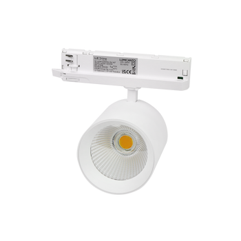 Track light Reflektor szynowy LUMICANTO 12-42W CCT 36/60° biały PRIME
