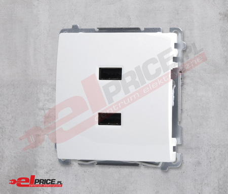 Kontakt simon basic ładowarka usbx2 bmc2usb.01/11