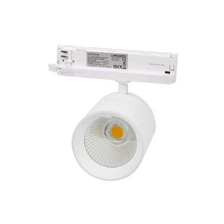 Track light Reflektor szynowy LUMICANTO 12-42W CCT 36/60° biały PRIME