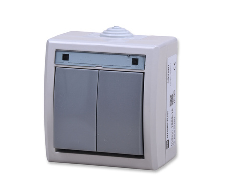 ELEKTRO-PLAST Nasielsk 1202-10 ŁNT-5 AQUANT świecznikowy szary IP55