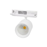 Track light Reflektor szynowy LUMICANTO 12-42W CCT 36/60° biały PRIME