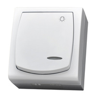 OSPEL MADERA ŁNH-5NS/00 Łącznik zwierny "światło" z podświetleniem 