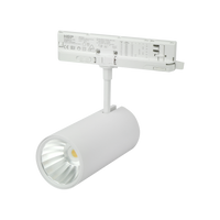 Track light LUMICANTO 14-29W CCT 36/60° biały PRIME