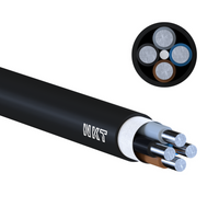 NKT Kabel Przewód ziemny aluminiowy 4x16 YAKXS 0,6/1 kV RE 1m okrągły 110198015