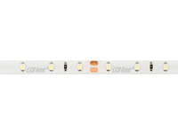 LED line® Taśma 300 SMD 24V 6500K 4,8W IP65
