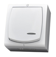 OSPEL MADERA ŁNH-11NS/00 Łącznik dwubiegunowy z podświetleniem