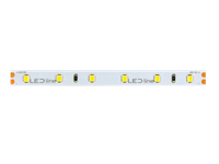 LED line® Taśma 300 SMD 24V 4000K 4,8W